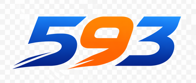 593
